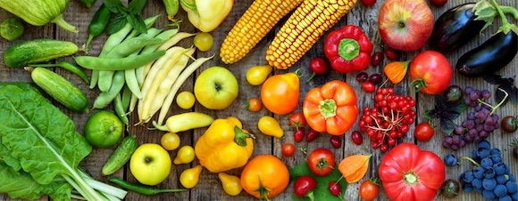 Science based nutrition Lexington KY